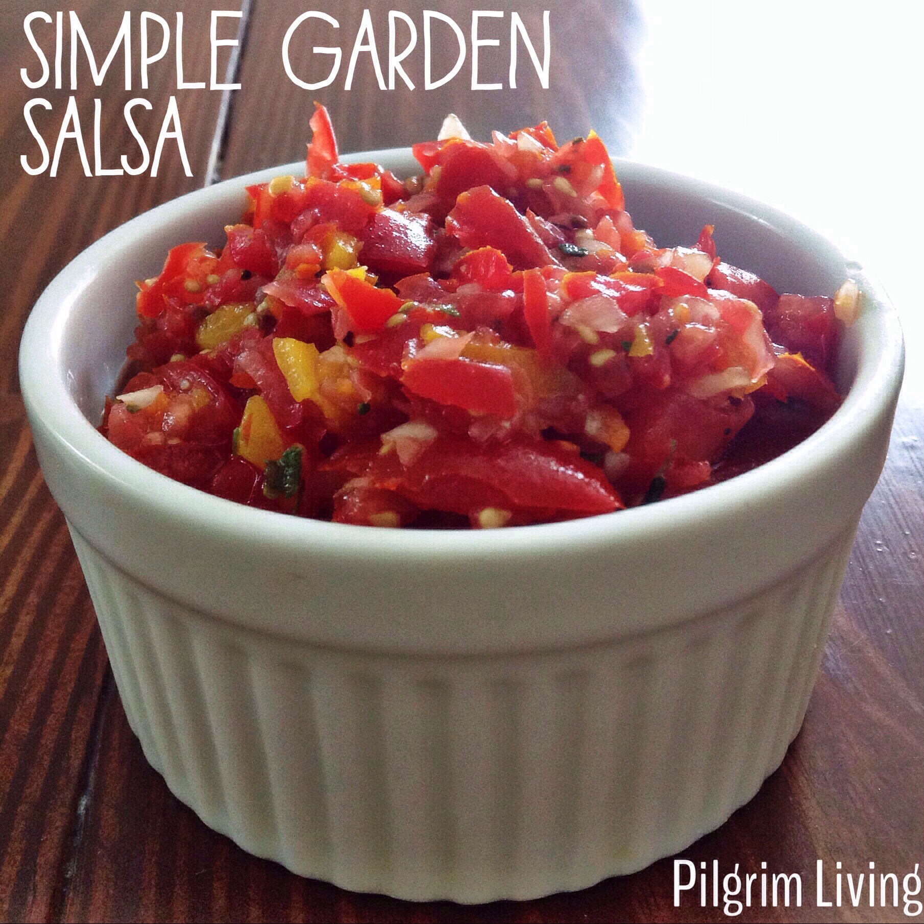 simple garden salsa