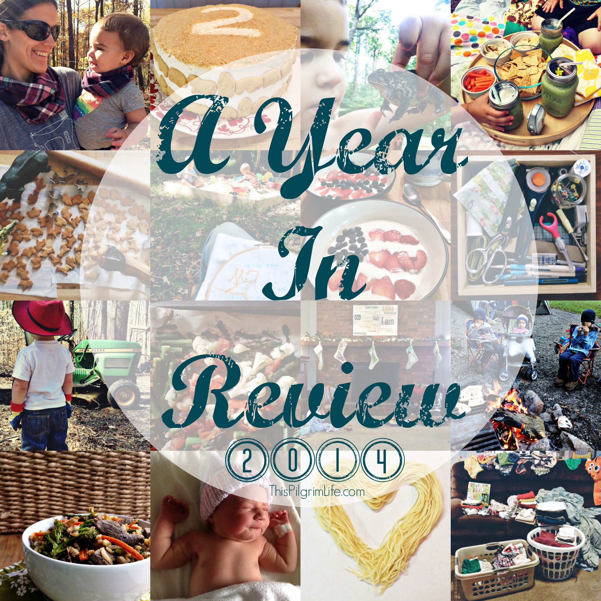 Year in Review 2014
