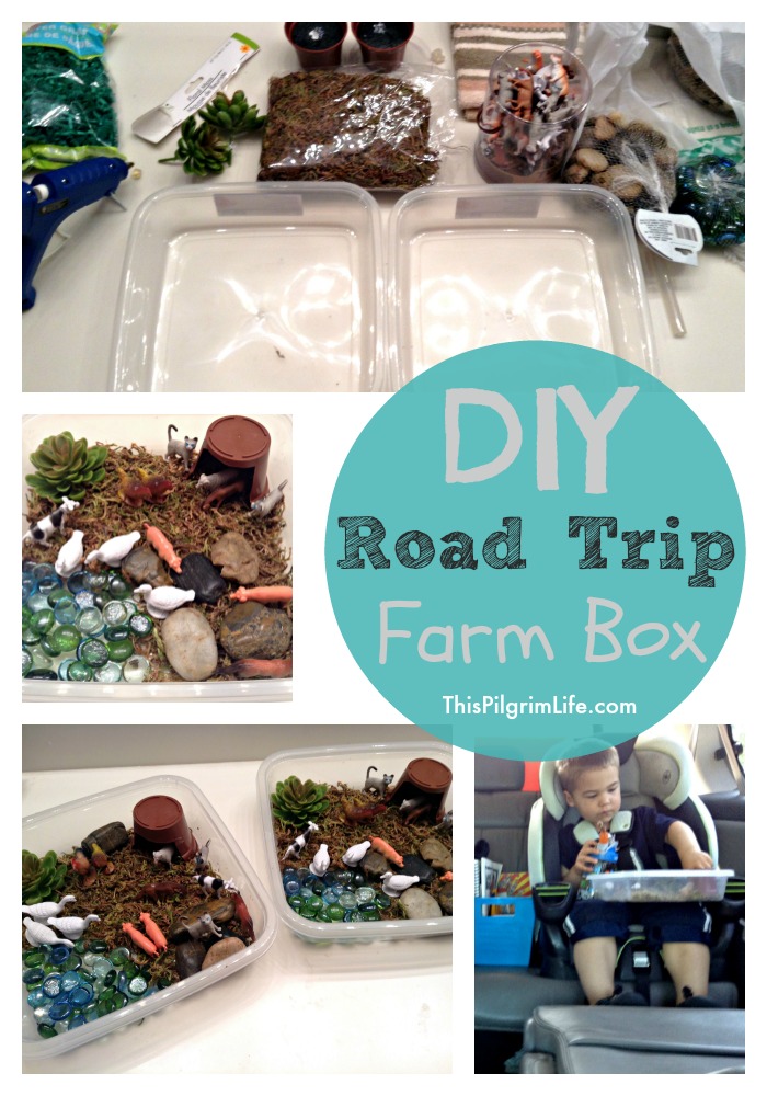 Keeping Kids Entertained In the Car: DIY Road Trip Farm Box