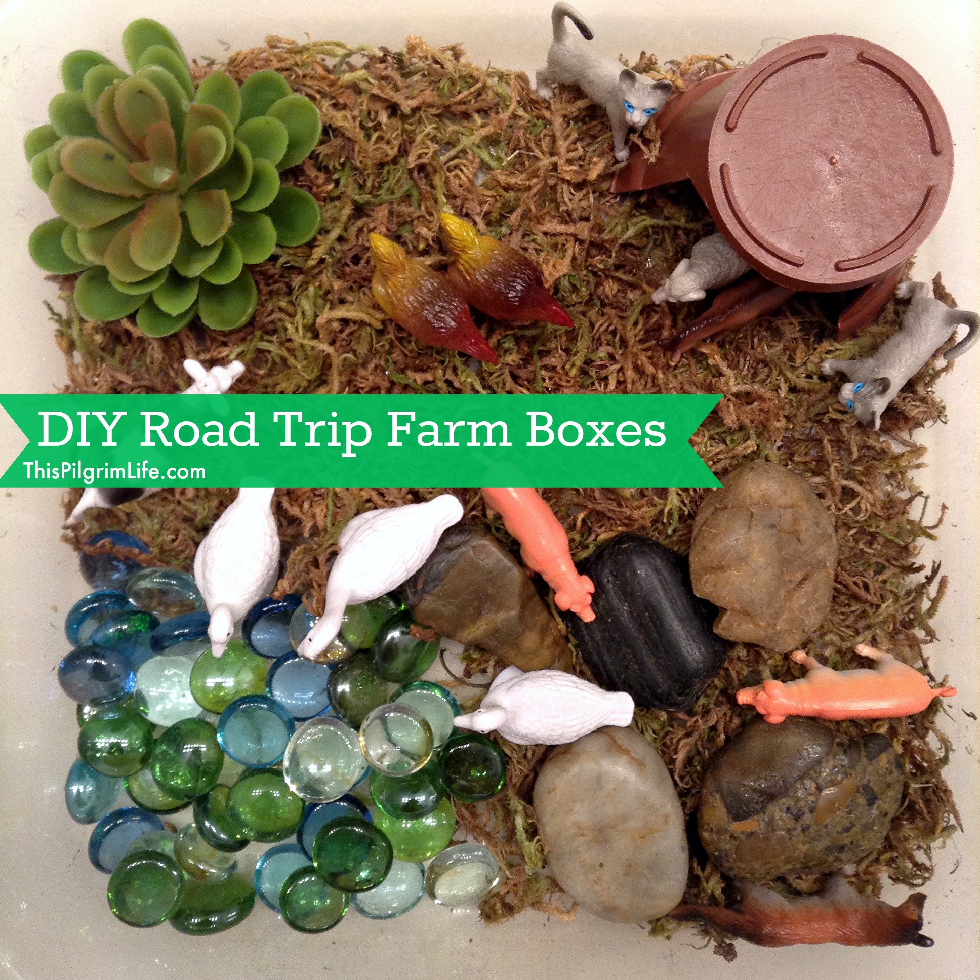 DIY Road Trip Farm Box