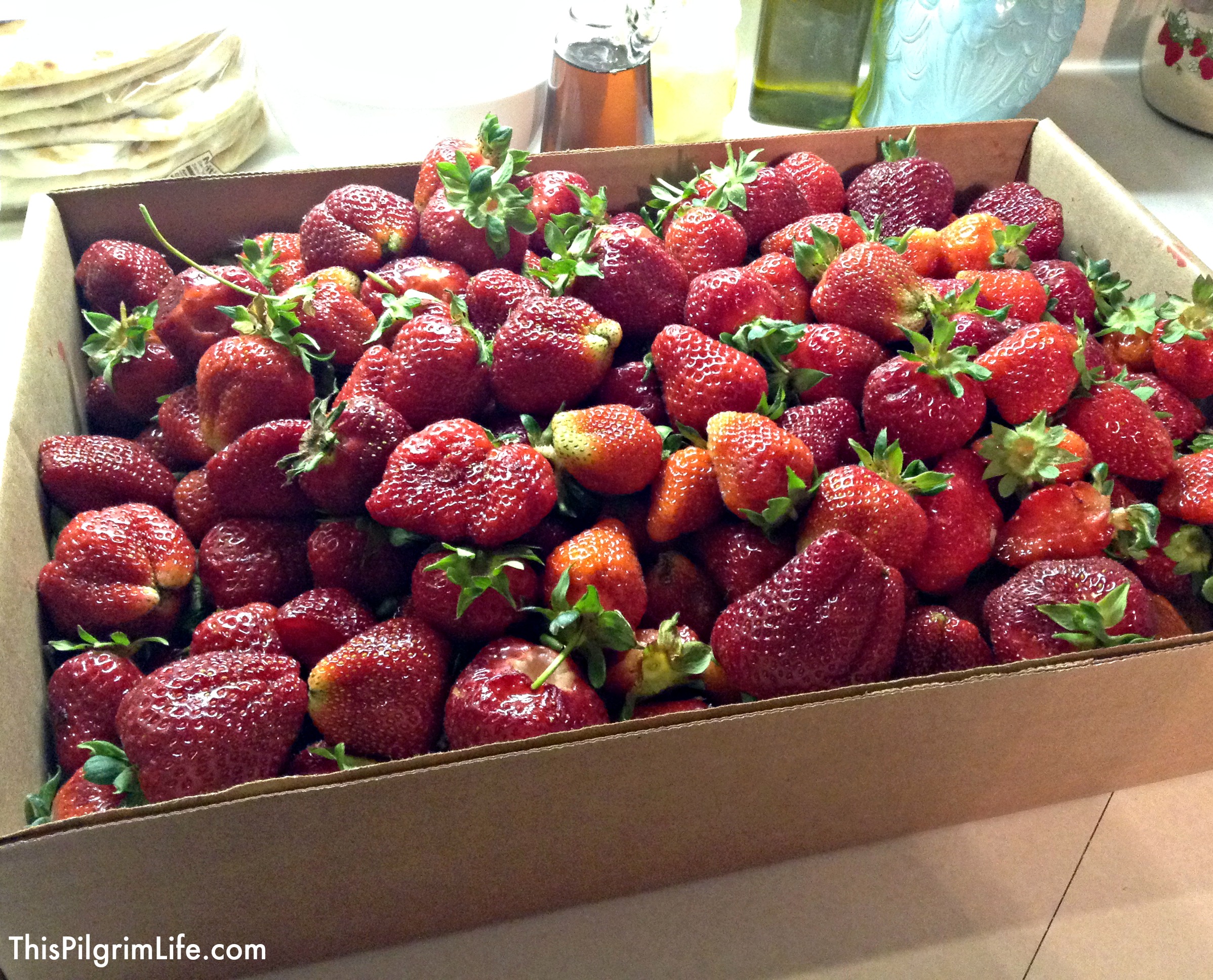 Freshly picked strawberries for simple strawberry crisp!