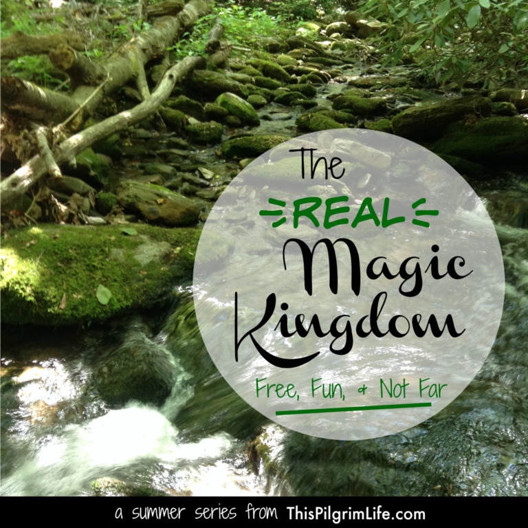 The {Real} Magic Kingdom- Free, Fun, and Not Far.