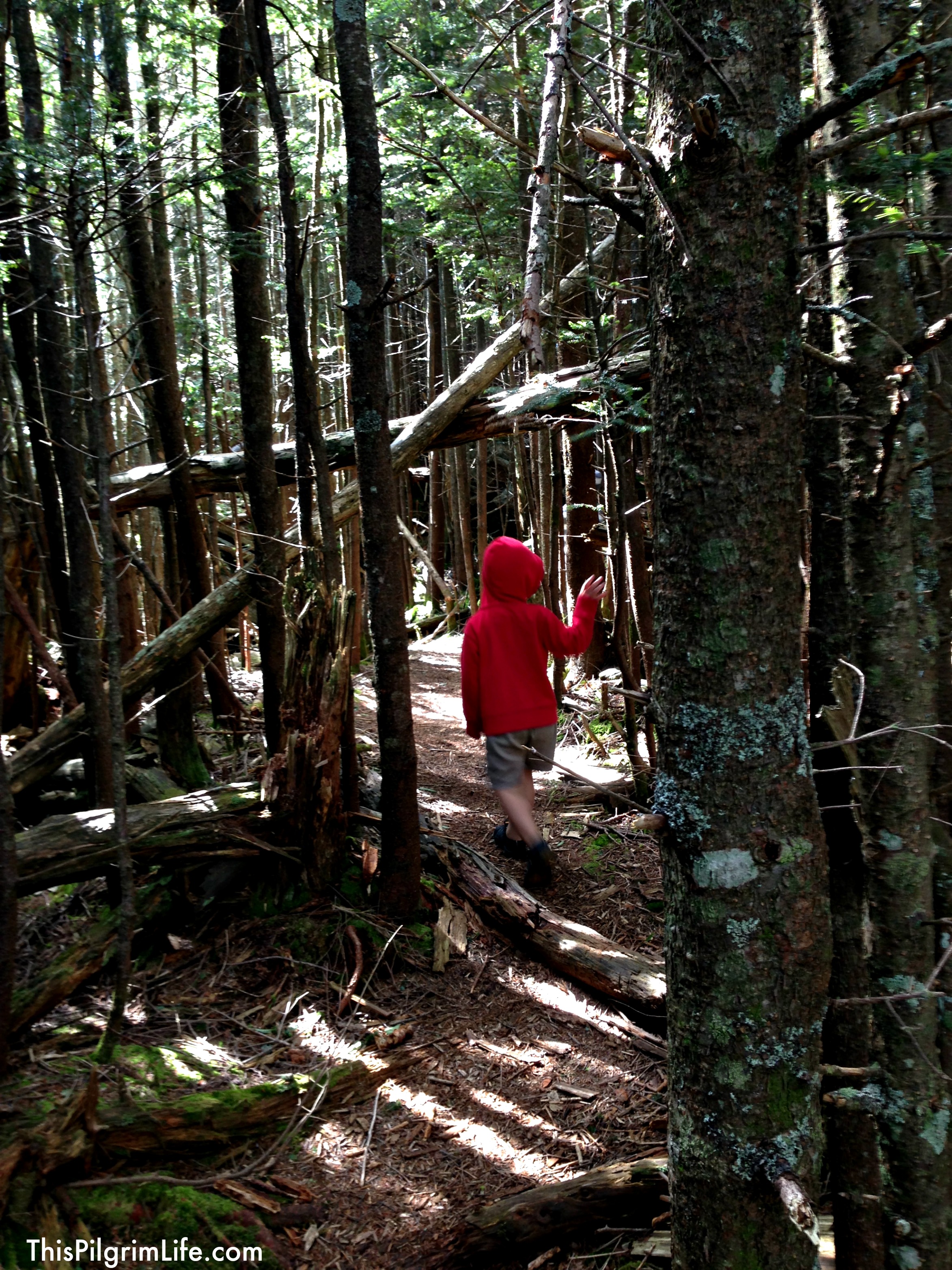 Kids in the Outdoors: Addressing Fears & Safety