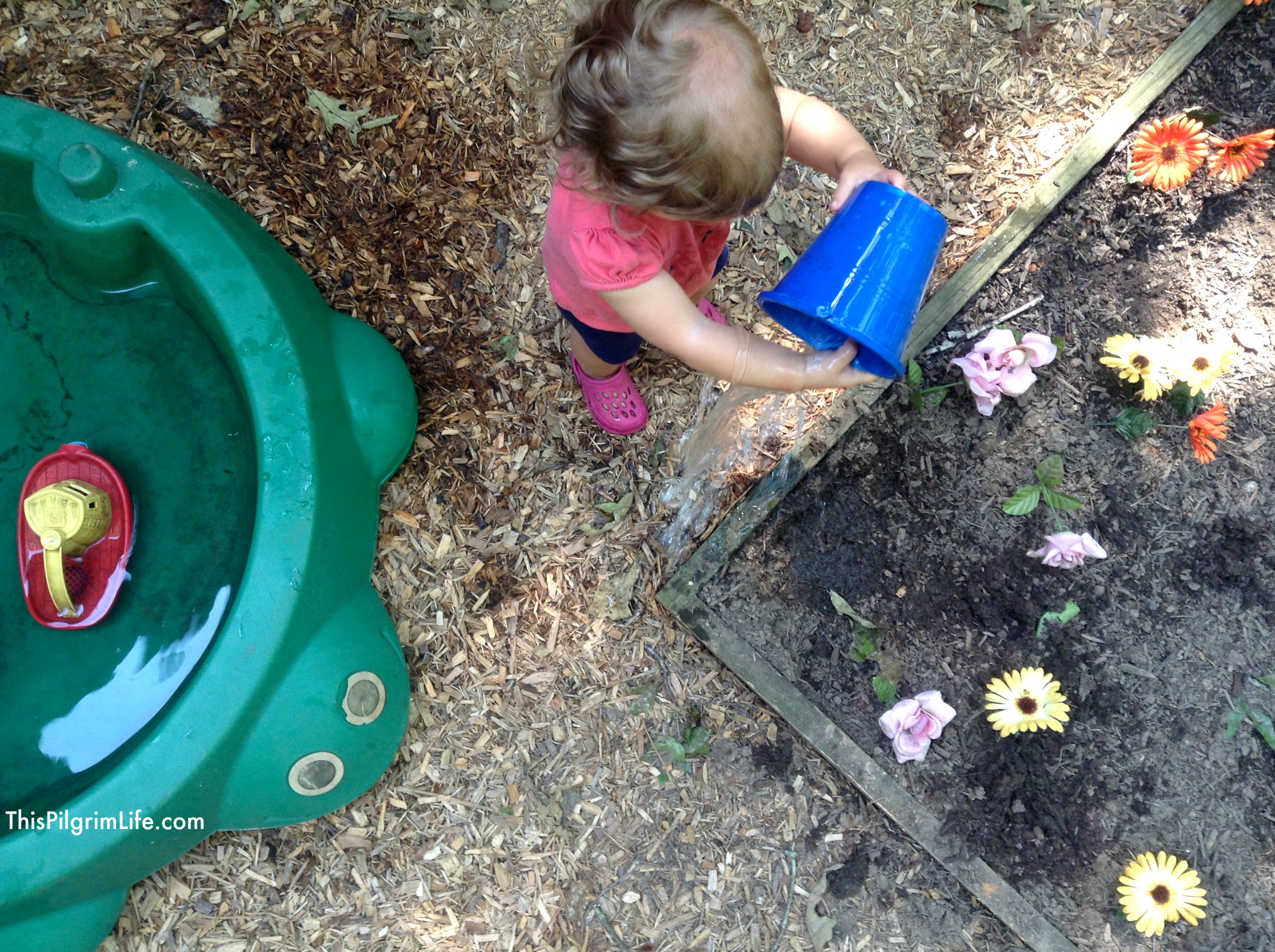 Turtle sandboxes are not only for sand! Check out these simple ways to repurpose a common toy! 