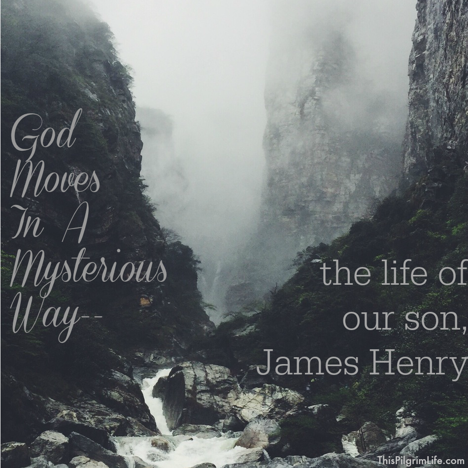 God Moves In A Mysterious Way-- The Life of Our Son, James Henry