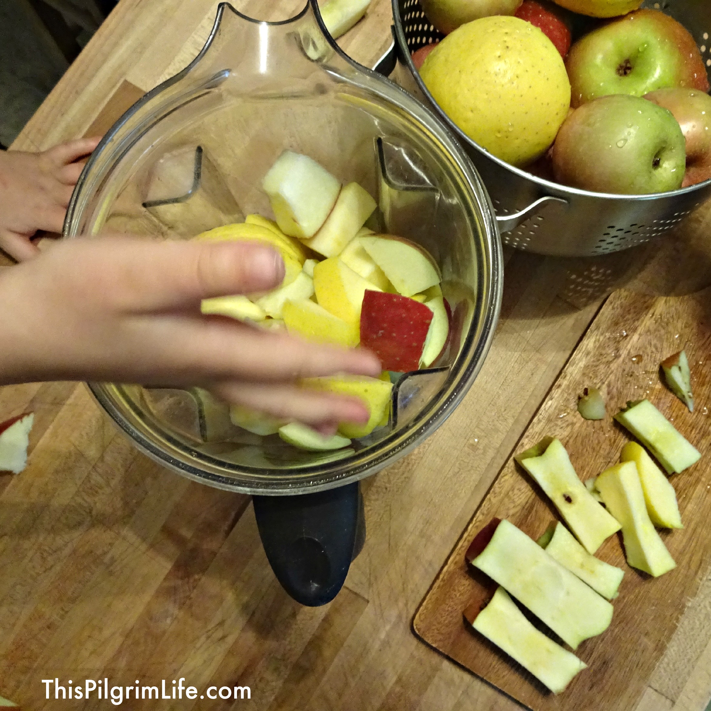 Apple cider is a delicious Fall treat. Check out these easy steps to make your own homemade apple cider! 