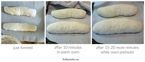 One-Hour French Bread23