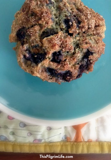 Nutty Blueberry Muffins