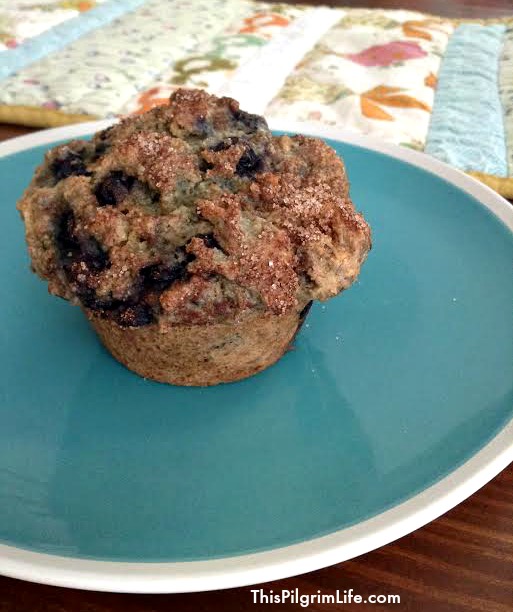 A hearty muffin loaded with blueberries and two kinds of nuts! Perfect for breakfast or for snacks!