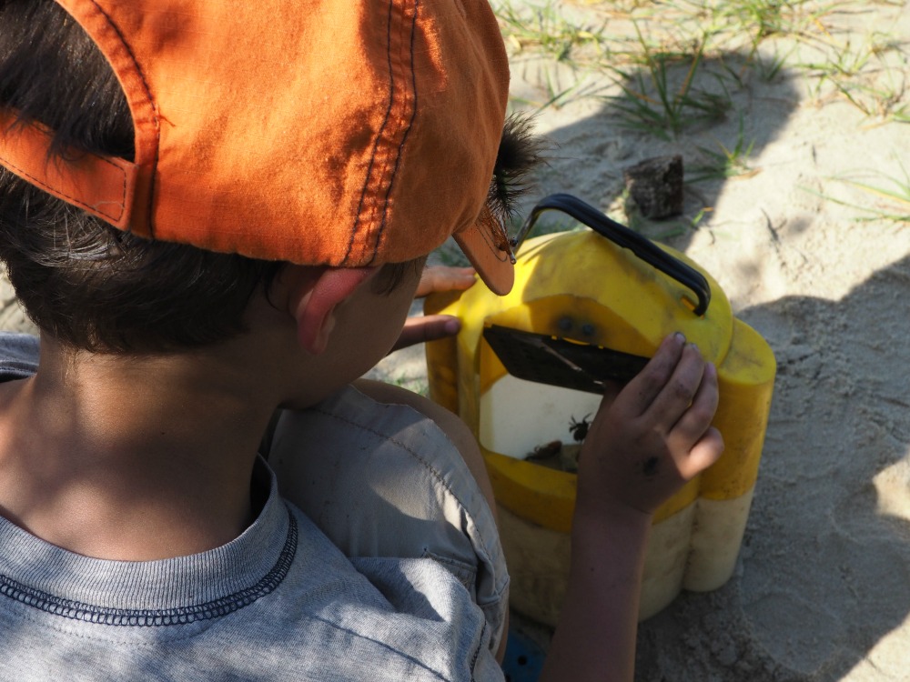 Camping at the beach can be an awesome way to save money and experience more of the natural parts of the beach! This is part 1 of how we took four kids camping for five days at the beach for a fraction of the cost of a typical beach vacation! 