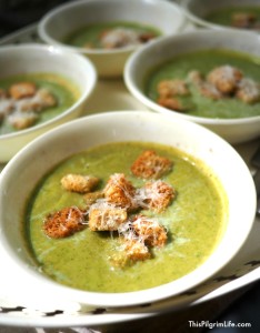 not just a soup with a dash of broccoli to go along with the heaps of milk and cheese. The broccoli is the star, and the green is boosted by the addition of