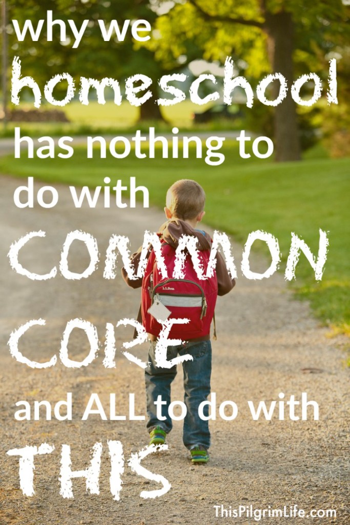 We homeschool our kids, but it's not because we want to avoid Common Core. Nope. We have much better reasons than that. 