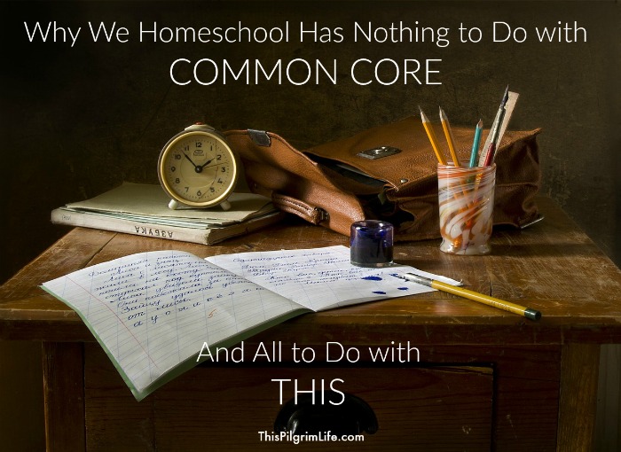 We homeschool our kids, but it's not because we want to avoid Common Core. Nope. We have much better reasons than that. 