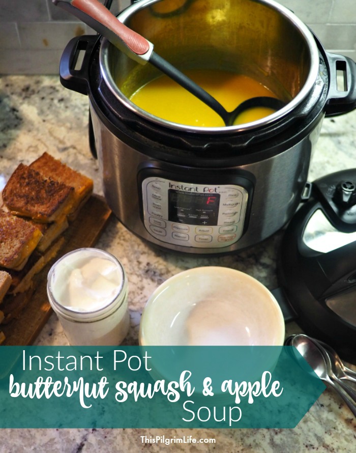 This quick and easy recipe for Instant Pot butternut squash apple soup is sure to become a family favorite. It's healthy, frugal, and so delicious! 