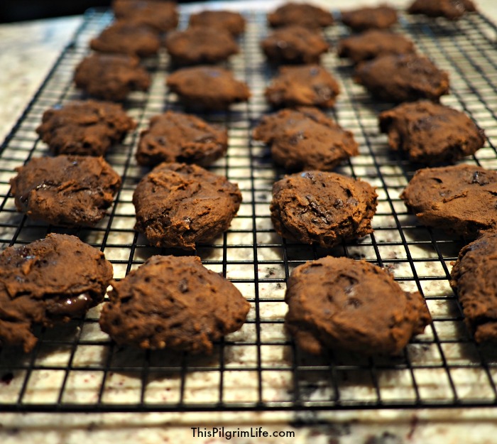 These double dark chocolate pumpkin cookies are a healthy, naturally sweetened snack cookie! Even better, they are packed with nutritious ingredients! 