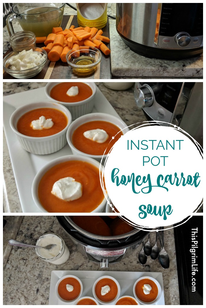 My kids love this soup! This Instant Pot honey carrot soup is so easy to make and only uses staple kitchen ingredients. It's perfect with a slice of bread, grilled cheese sandwich, or slice of banana bread! 