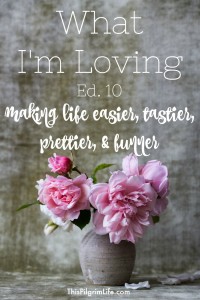 Learning to see the good in the everyday is CRUCIAL for a joy-filled life! I love reflecting on what I'm loving-- and love sharing it with you! So check out what is currently making our lives easier, tastier, prettier, and funner!