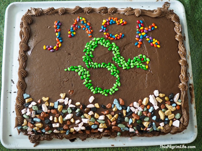 Reptile fans will love this fun reptile birthday party! A cool DIY snake cake, a reptile obstacle course that led to a den of (stuffed snakes), and a hands-on snake and lizard experience were a few of the highlights from the party. 