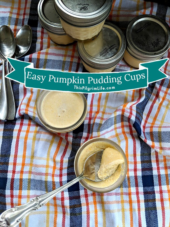 Easy Pumpkin Pudding Cups