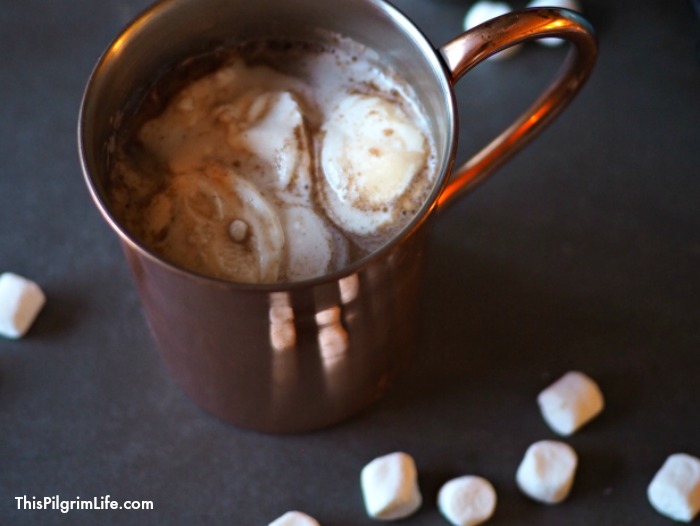 You can make this homemade hot chocolate mix in five minutes or less, and enjoy rich and creamy hot chocolate all season long that is naturally sweetened and free of unnecessary additives! 