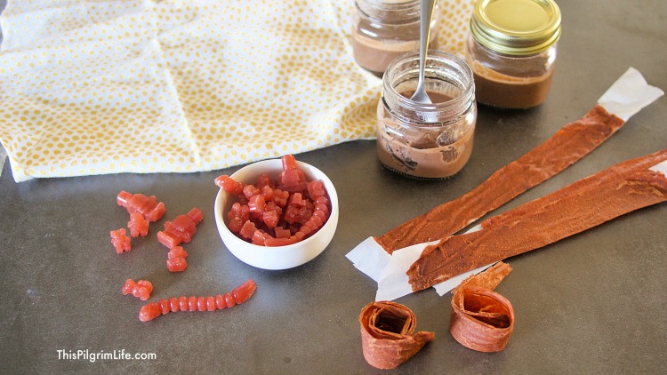 Continuing on with the healthy resolutions series, I am sharing three EASY homemade snack recipes. Get recipes for homemade fruit strips with fruit and veggies, homemade chewy gummies with just a handful of ingredients, and a quick (dairy-free!) chocolate pudding.