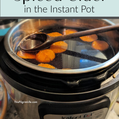 Spiced Cider in the Instant Pot
