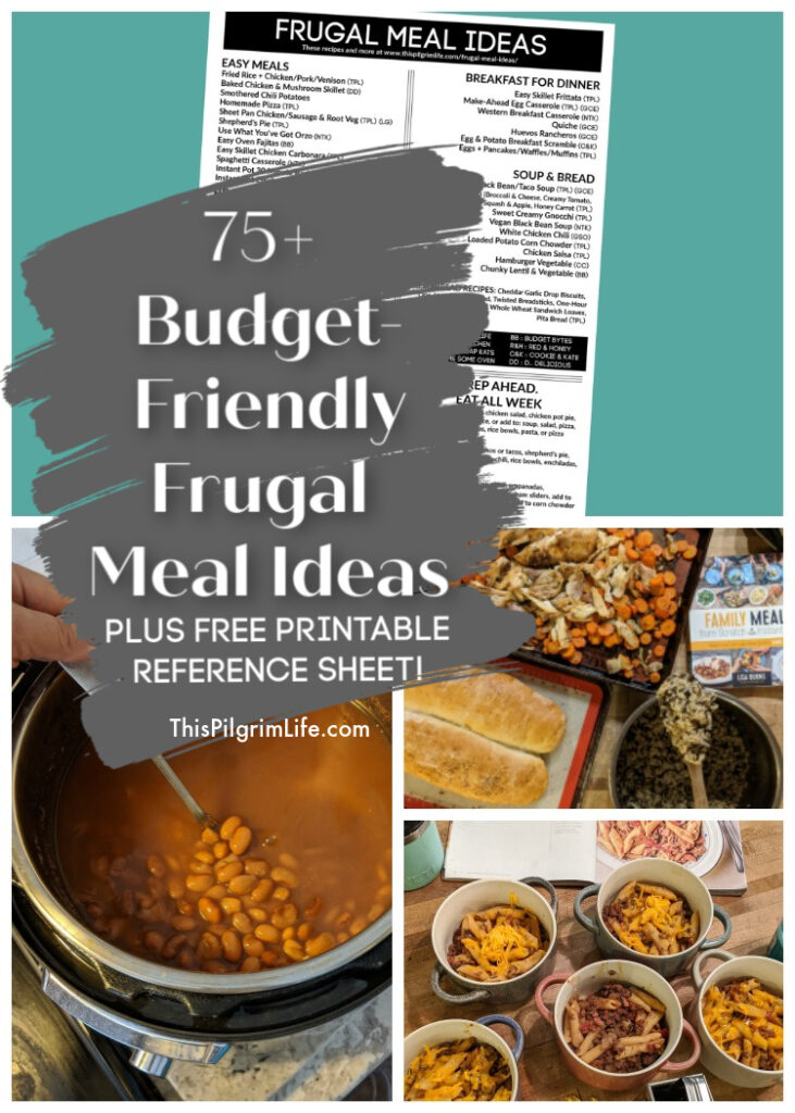 We all need meal ideas that aren't going to break the budget, because even though my 9yo would approve, we can't eat steak every night! This list is full of over 75 frugal meal ideas-- meals with meat, meals without meat, meals with beans, delicious breakfast-for-dinner ideas, and so much more! 