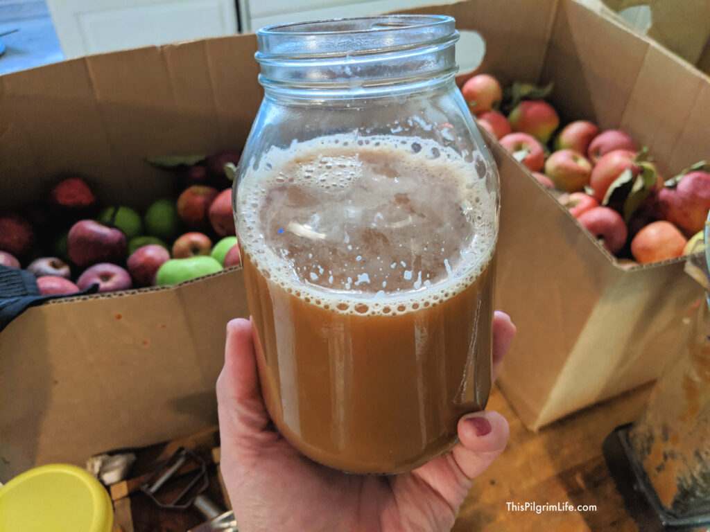 Homemade apple cider is so easy to make in a Vitamix! We love it cold or warmed up with fresh whipped cream! The pulp can also be added to homemade applesauce, or used to make apple hand pies.