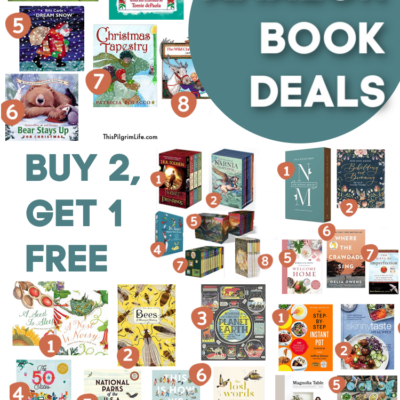 Amazon Book Deal Favorites :: Buy 2 Get 1 Free