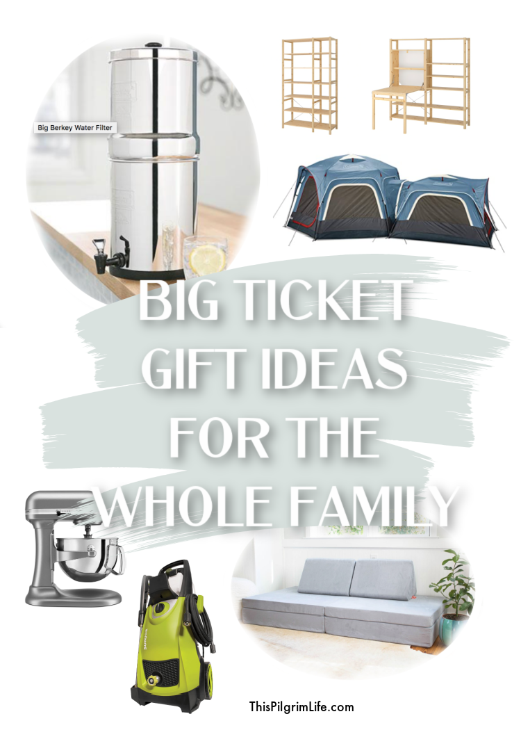 Take advantage of sales and a season of generosity to shop for big ticket gifts for your family!