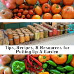 Recipes and recommendations for canning, freezing, and preserving vegetables and fruit.