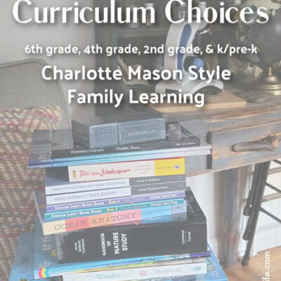 Homeschool Curriculum Choices for 2021
