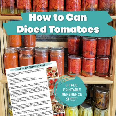 How to Can Diced Tomatoes