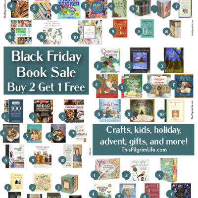 Amazon Black Friday book deal has so many great books included! Check out this curated list of great holiday books, craft books, kids books, cookbooks, and more. 