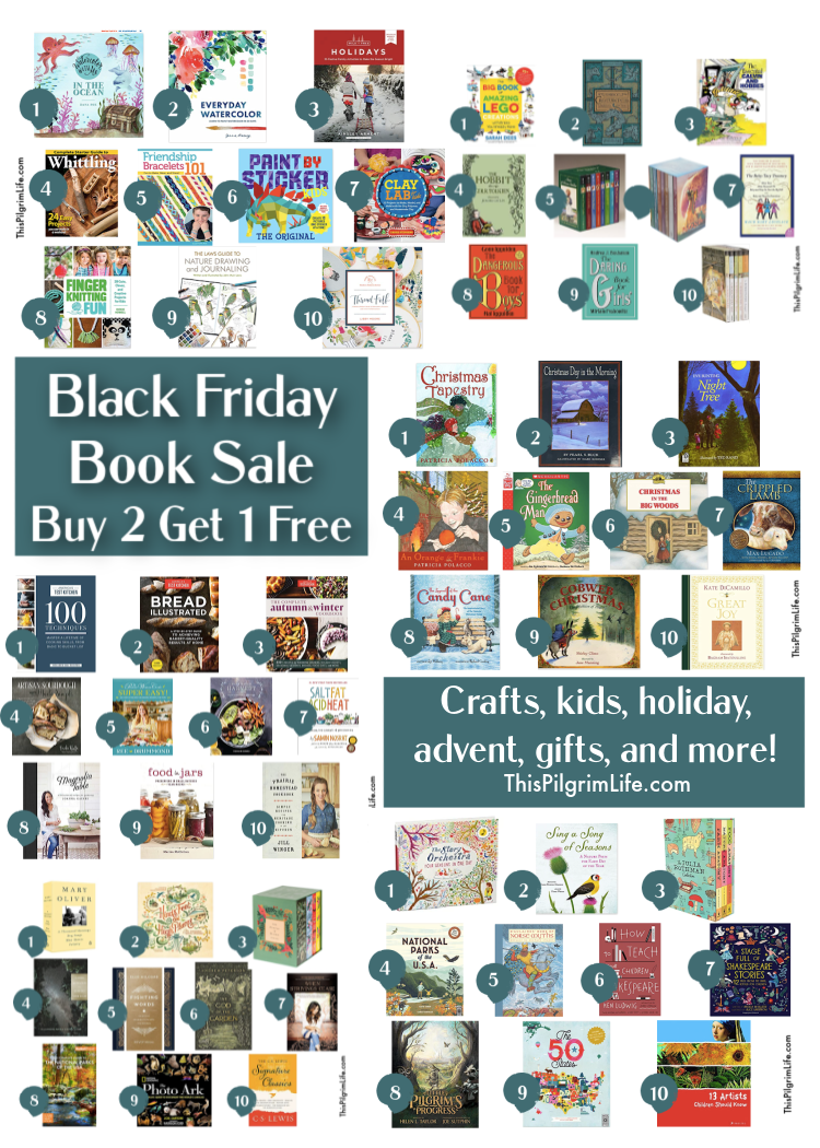 Amazon Black Friday book deal has so many great books included! Check out this curated list of great holiday books, craft books, kids books, cookbooks, and more. 