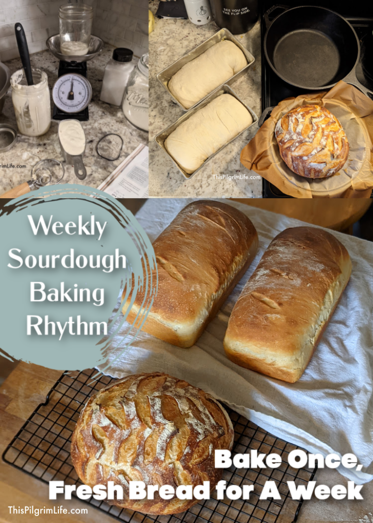 I put off learning sourdough baking for a long time because I thought it would take over my life and require more time than I had to give. But I’ve found a way to have plenty of fresh bread each week, without too much fuss.