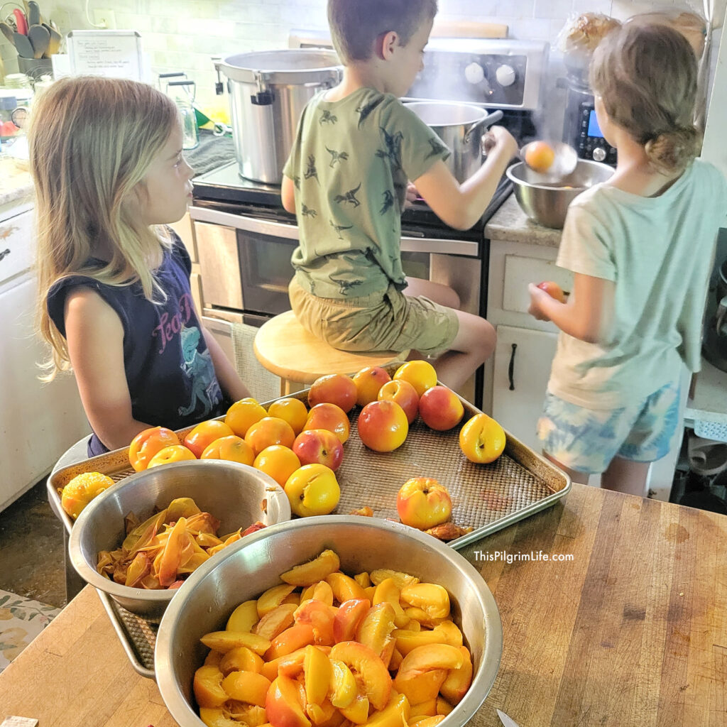kids preparing peaches to can