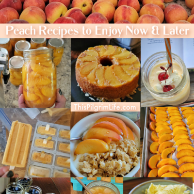 Check out this collection of peach recipes for fresh inspiration for enjoying one of summer's best fruits both now and later! Peaches at breakfast, in sweet treats, tasty drinks, and preserved to be enjoyed the rest of the year too!