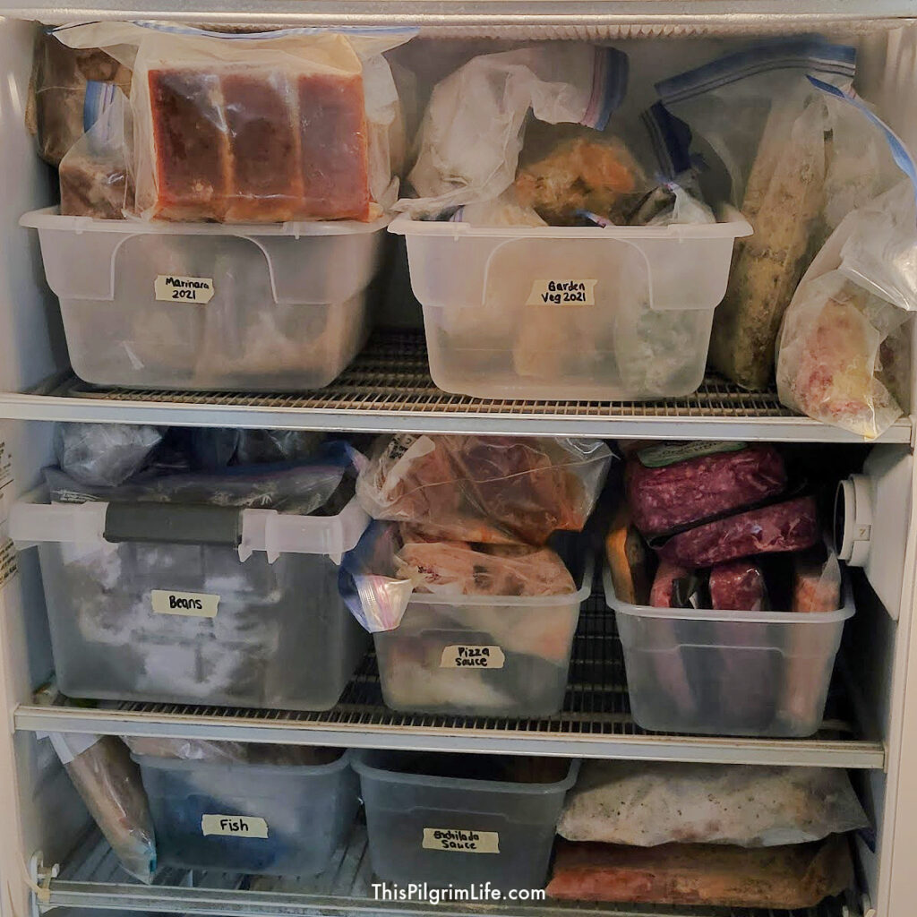 upright freezer packed with summer produce