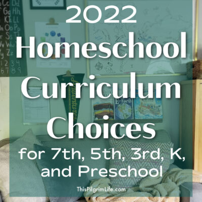 We are entering our eighth year of homeschooling, this year with kids from middle school all the way down through preschool. These are our homeschool curriculum picks for 2022-- lots of family learning, living books, and Charlotte Mason inspired lessons.