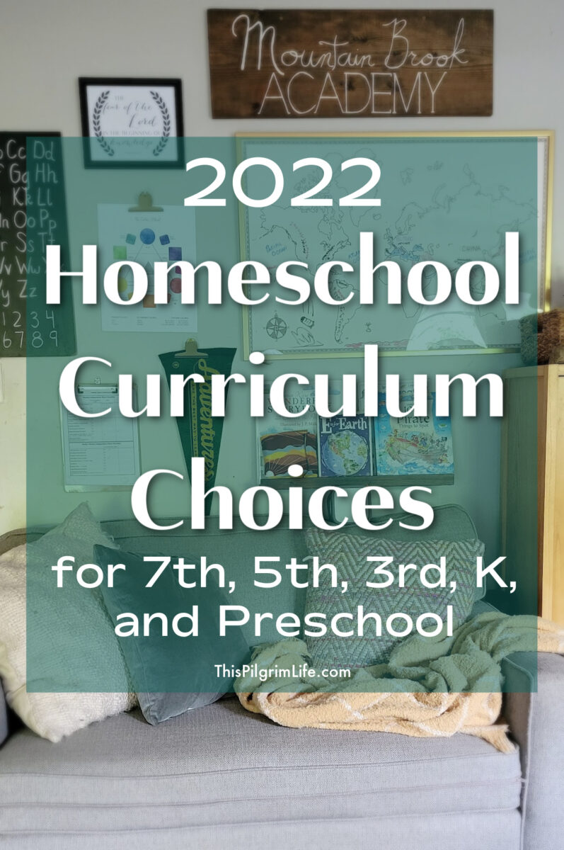 We are entering our eighth year of homeschooling, this year with kids from middle school all the way down through preschool. These are our homeschool curriculum picks for 2022-- lots of family learning, living books, and Charlotte Mason inspired lessons.