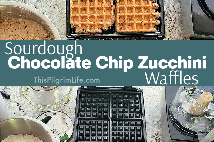 I love the taste of these chocolate chip zucchini waffles! Made with sourdough discard, shredded zucchini, and bits of chocolate, they're such a fun and tasty breakfast! 