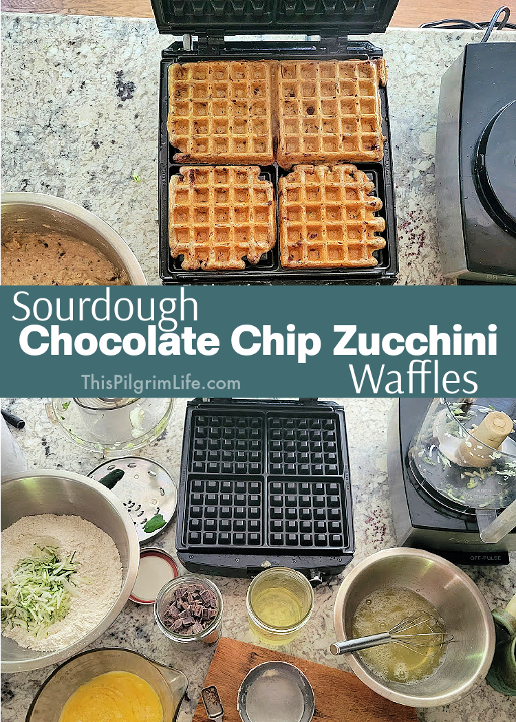 I love the taste of these chocolate chip zucchini waffles! Made with sourdough discard, shredded zucchini, and bits of chocolate, they're such a fun and tasty breakfast! 