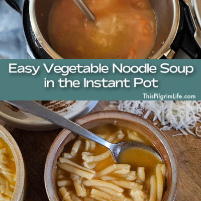 Easy Vegetable Noodle Soup in the Instant Pot