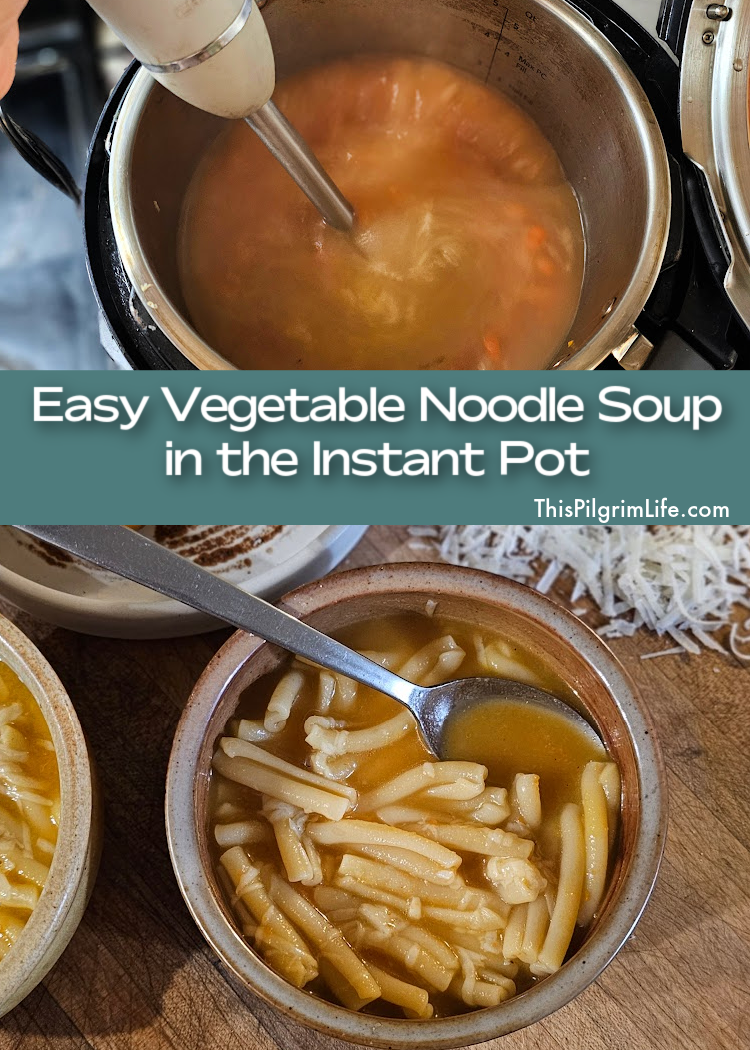 This vegetable noodle soup in the Instant Pot is super easy to make with a smooth, nourishing broth with blended veggies making it both kid-friendly and cozy!